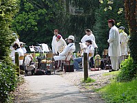 cinquantenaire10.jpg