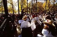 LuxTof010.jpg