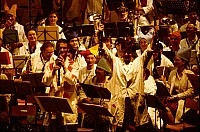 GcTof054.jpg