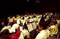 GcTof083.jpg