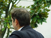 fraises6.jpg
