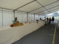 Gigot_bitume_18.jpg Gigot_bitume_18.jpg