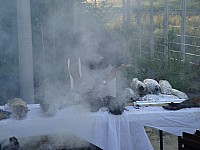 Gigot_bitume_74.jpg Gigot_bitume_74.jpg