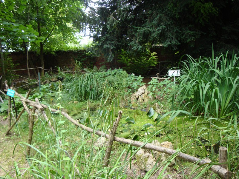 20_juin_Athis_004.jpg