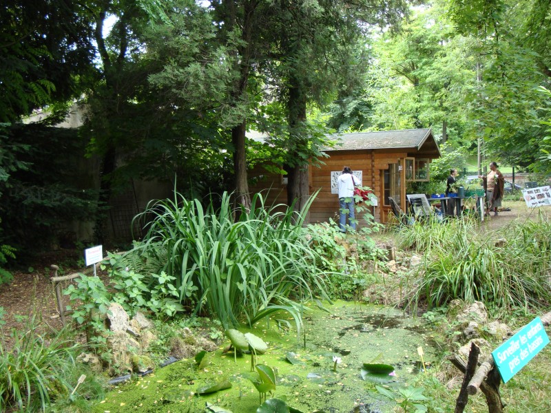20_juin_Athis_005.jpg